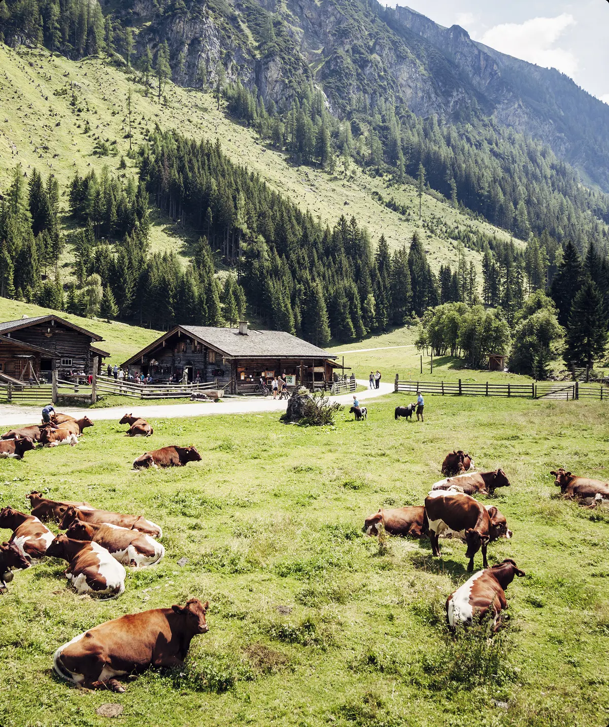  Ferienregion Nationalpark Hohe Tauern | © Tourismusbüro