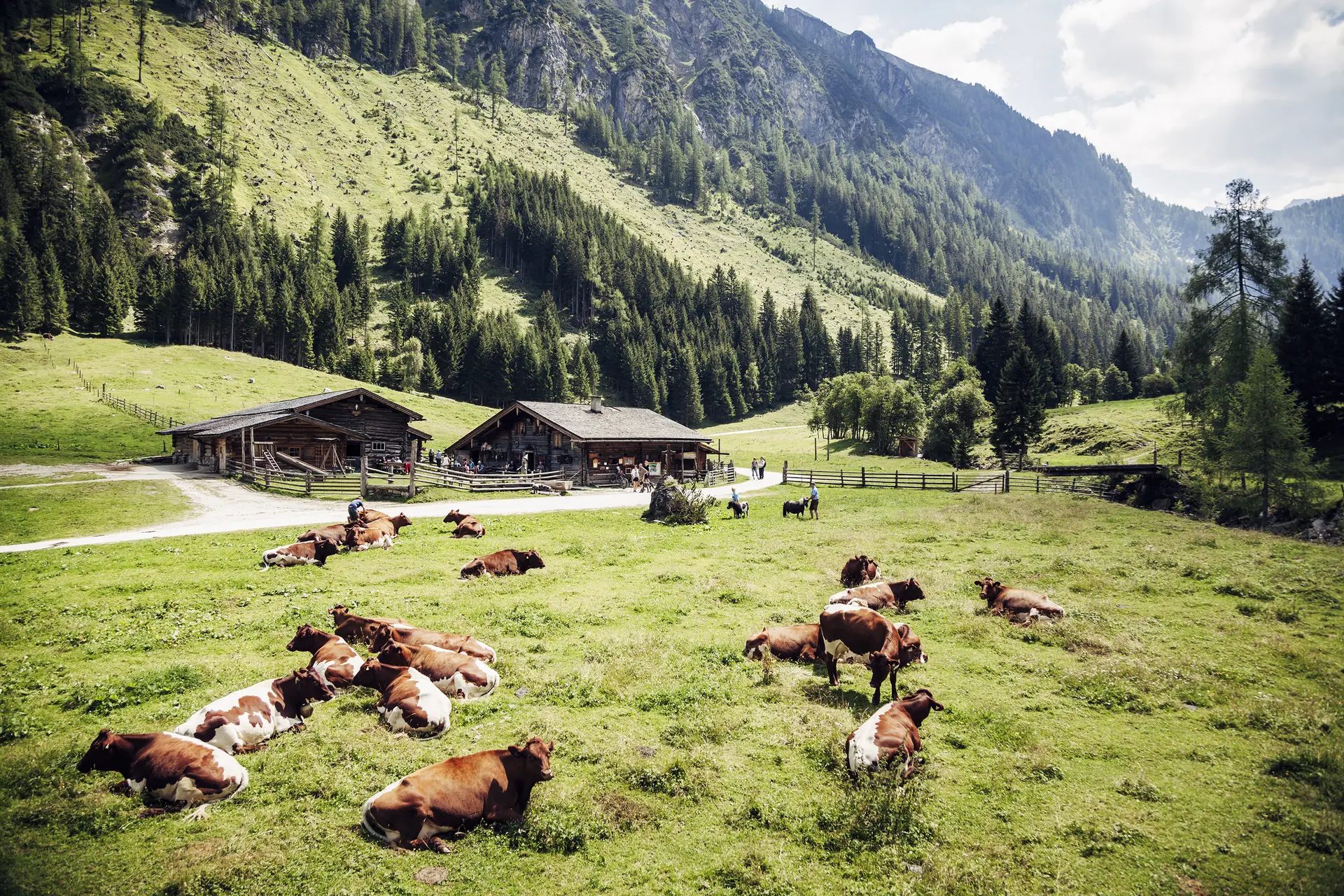  Ferienregion Nationalpark Hohe Tauern | © Tourismusbüro