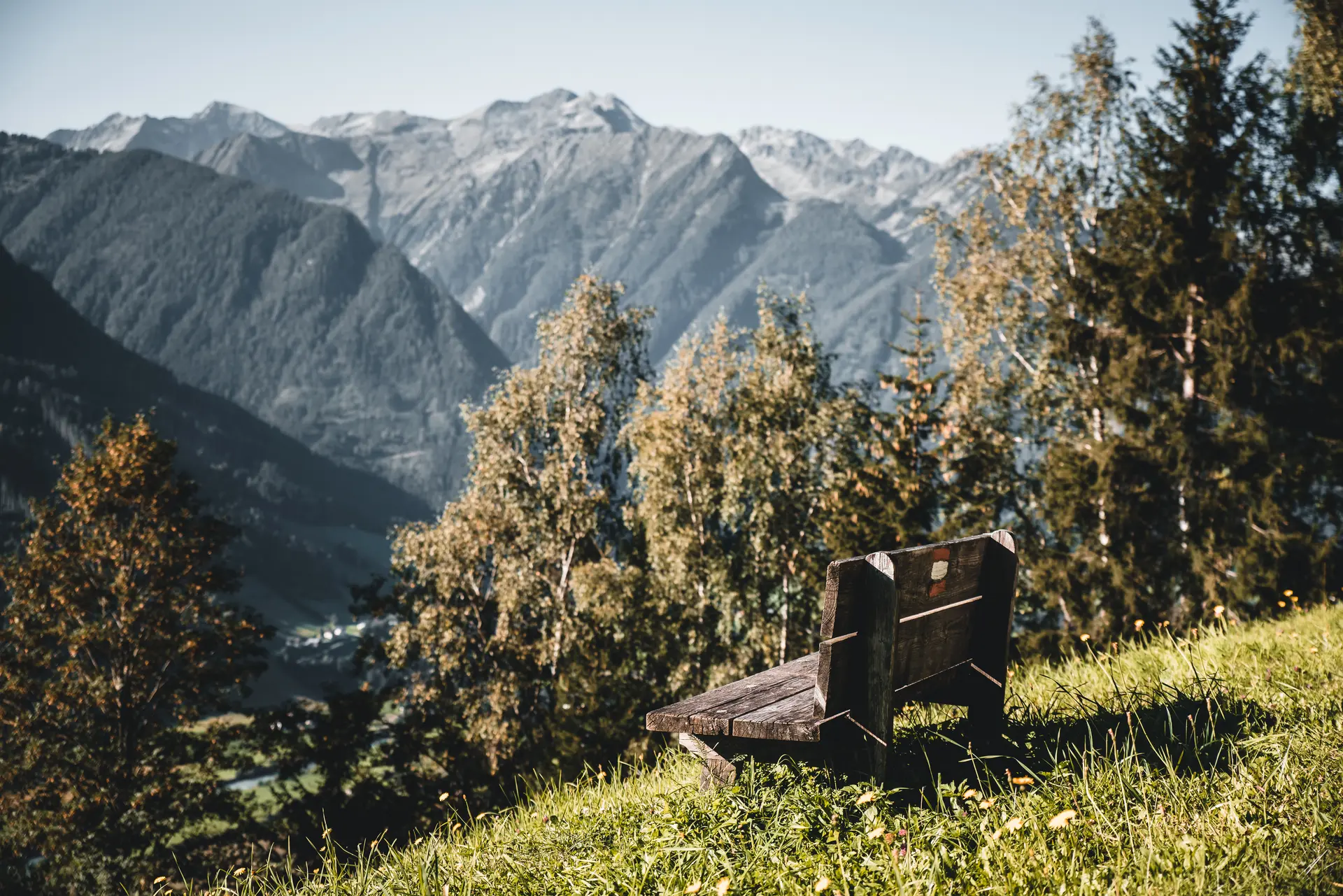 Der Wildkogel | © Daniel Kogler
