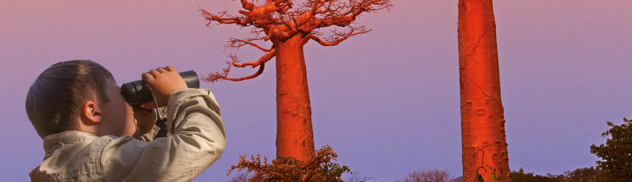 Madagaskar | © Josef Niedermeier