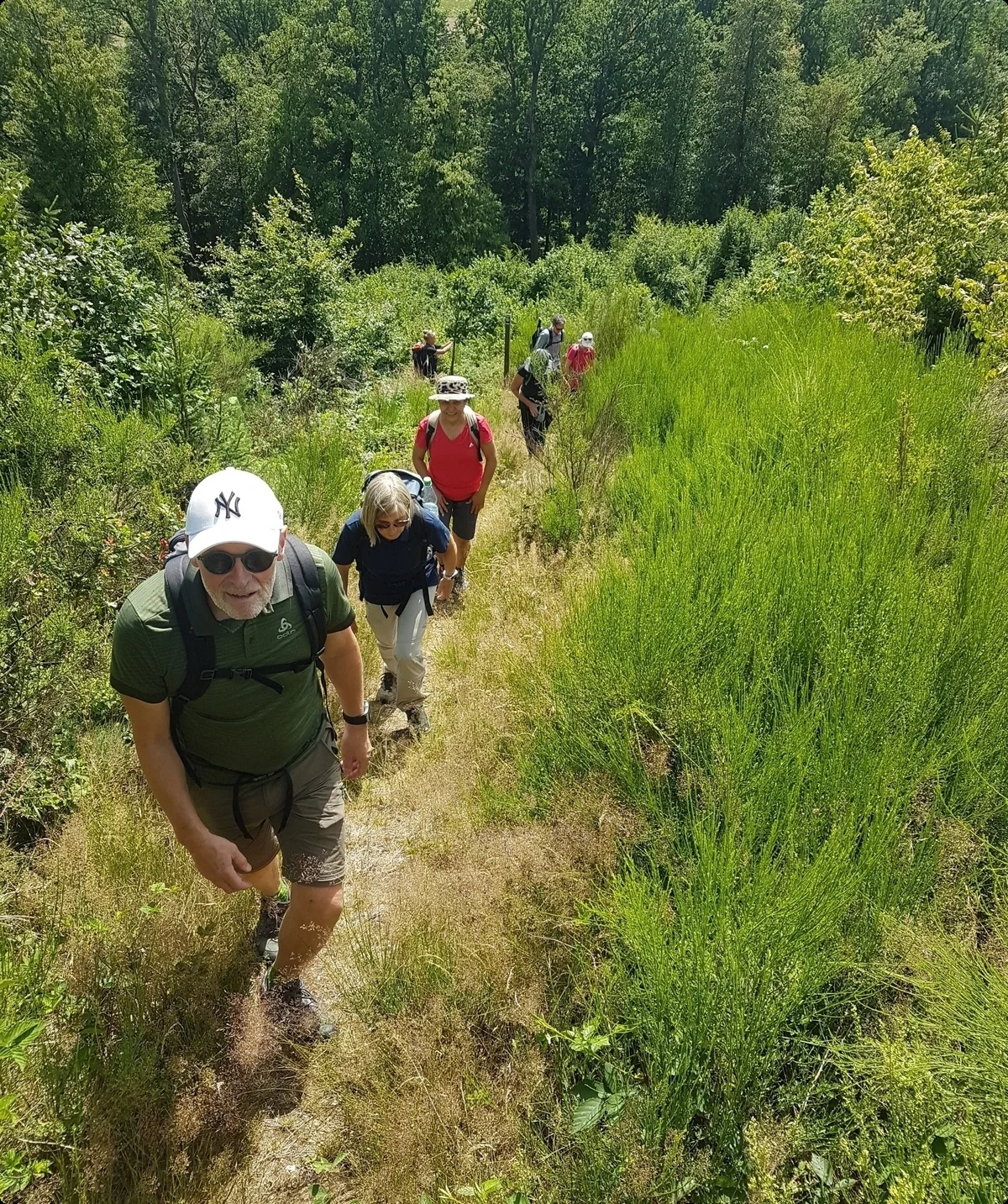 © Iris Lüttkenhaus