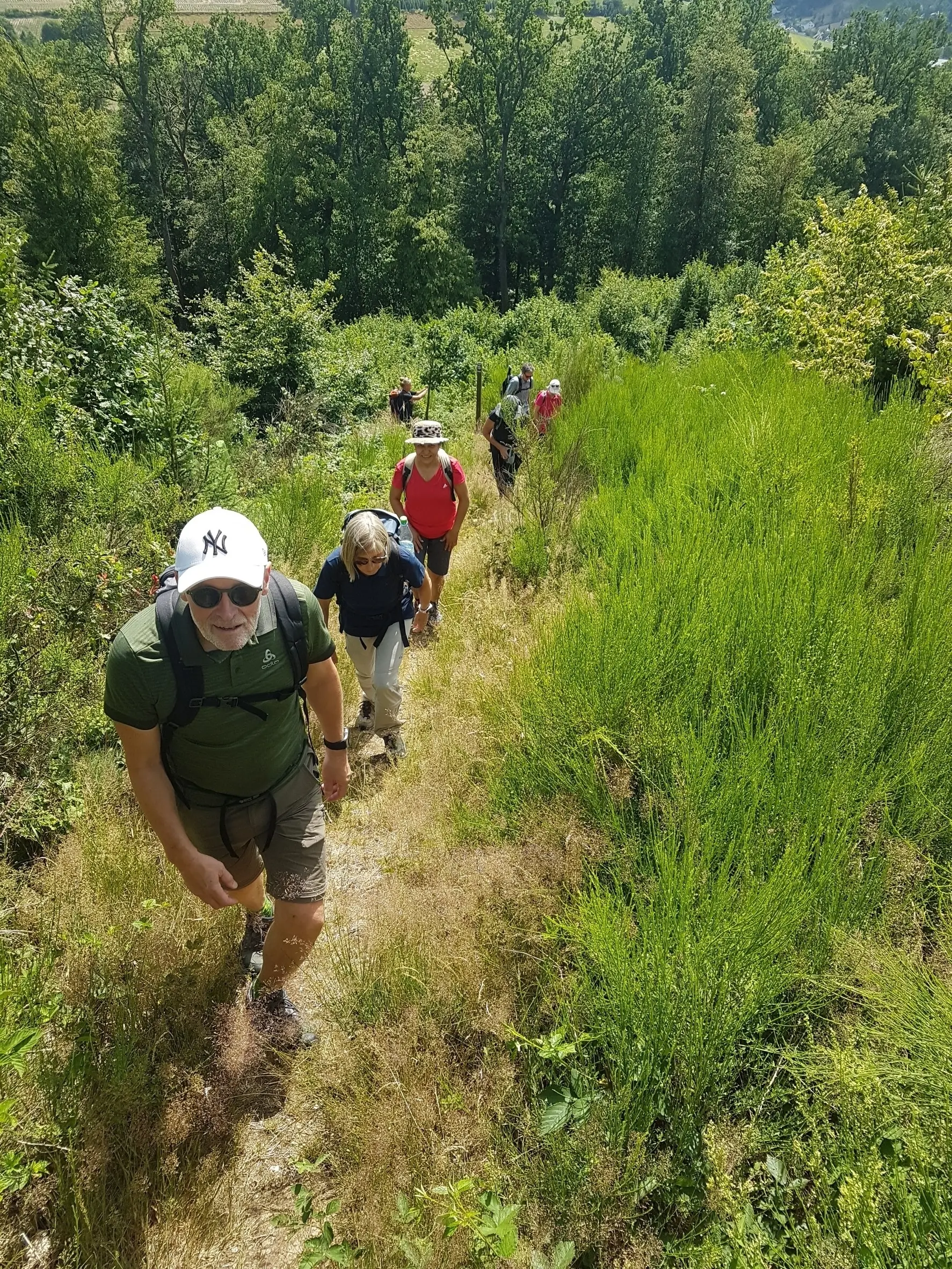 © Iris Lüttkenhaus