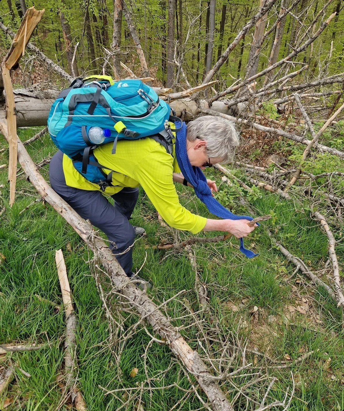 © Iris Lüttkenhaus