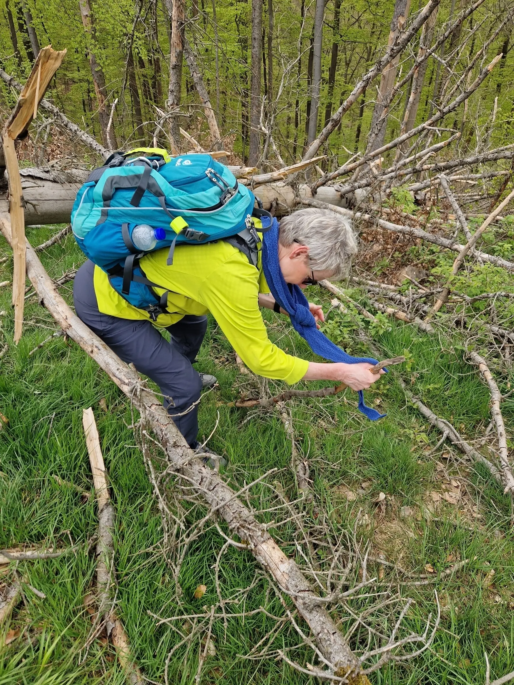 © Iris Lüttkenhaus