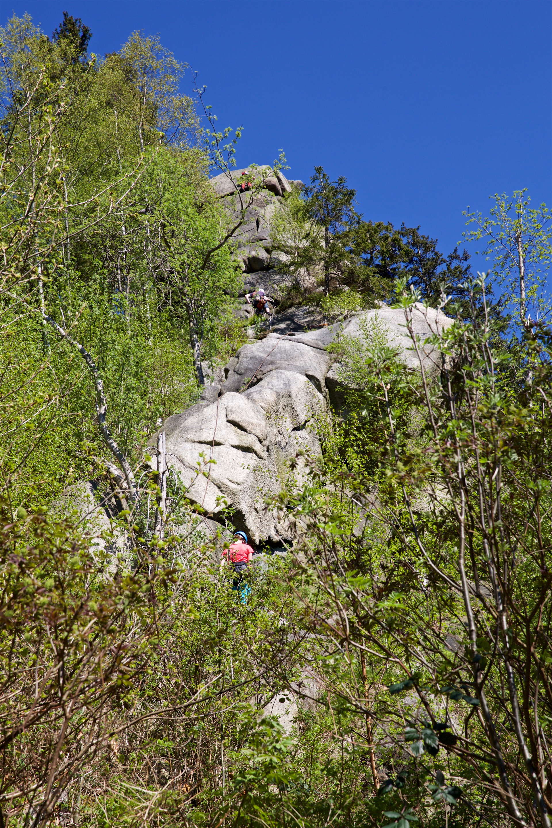 Kurfürst Westgrat